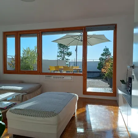 Apartment Bright Penthaus Apartement, With A Wonderful View Laibach