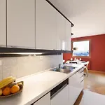 Apartment Bright Penthaus Apartement, With A Wonderful View Laibach